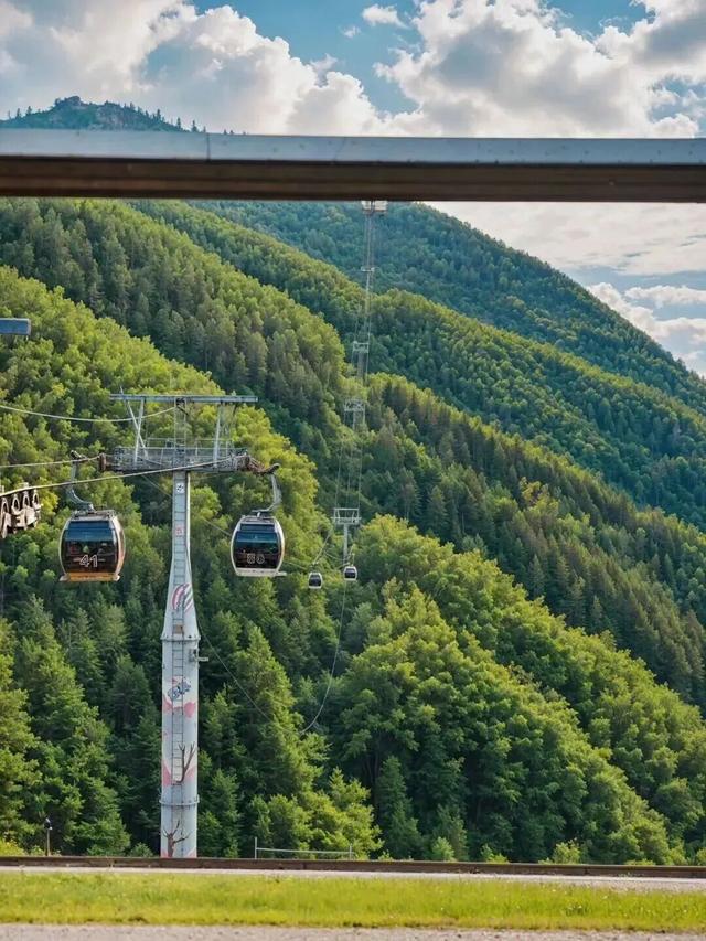 莲都人！免费！