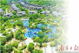 客从湾区来 文旅乘风起图片