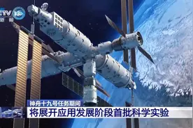 我国将首次把果蝇带上太空展开实验 神十九这些实验值得期待图片