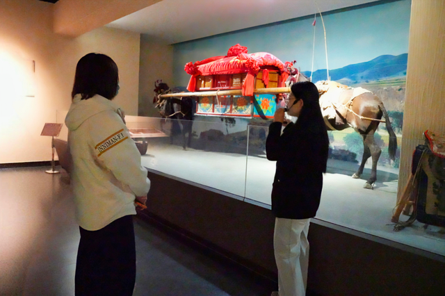 他们来踩线了！准格尔旗一日游即将引爆→