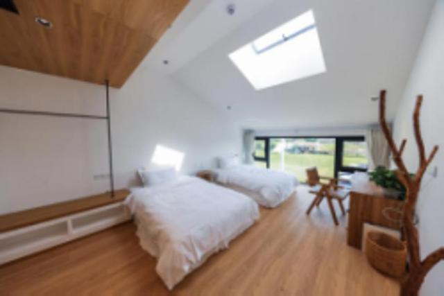 奉贤区景区限时免票或半价来了