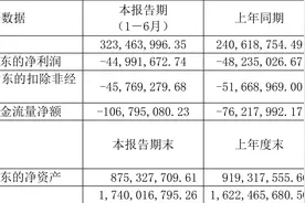 震有科技：2023年上半年亏损4499.17万元图片