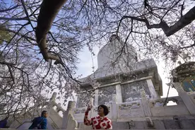 白塔映桃花，坐船赏春景，“琼岛春阴”拉开序幕图片