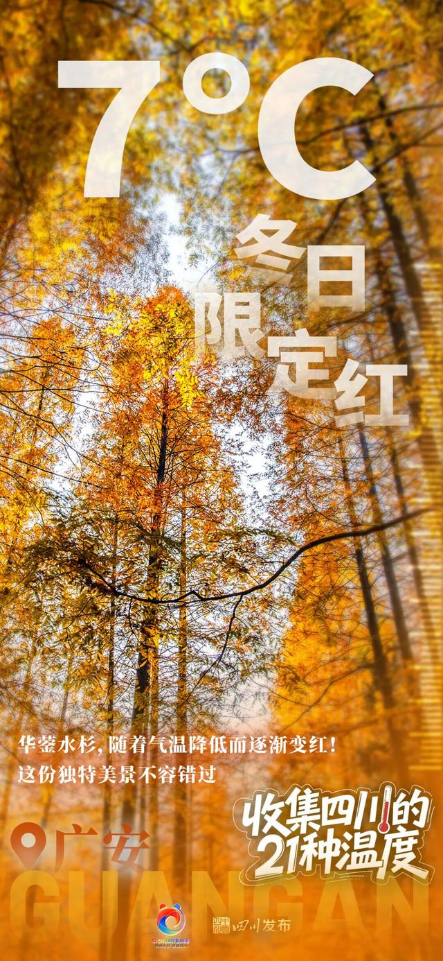 这个冬天来四川！每一“度”都好玩~