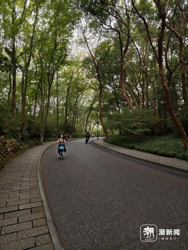 杭州西湖边有露营区？景区：是欣赏风光的固定休息场所，不建议过夜