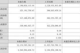 蓝焰控股：2023年上半年净利润3.21亿元 同比下降12.25%图片