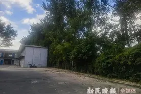 倒伏大树被清理 干枯树木待处置 防御“格美”，快速应对机制“托底”减少安全隐患图片