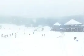元宵余韵未尽，仙女山“春雪”悄然飘落，错峰出游武隆正当时图片