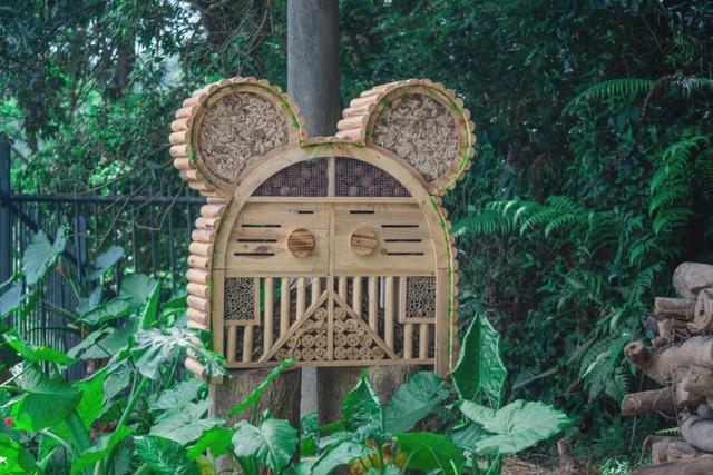 绿美云山丨以森林入药 漫享云山身心疗愈