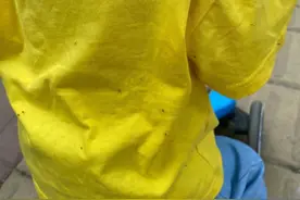 新闻多一度 | 夏季又见“烦人”小飞虫？这种颜色的衣服可以少穿图片