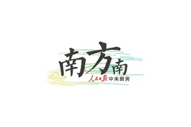 南方南丨深汕：在实干中坚定信心图片