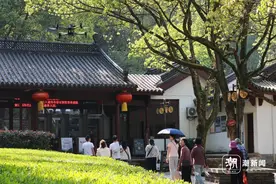 永康“空中交警”护航假期图片