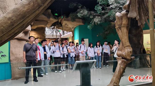 “同心筑梦”2025年澳门青少年甘肃行走进甘肃省博物馆