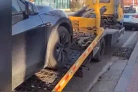 特斯拉入手三个月刹车有问题？厂家表示不符合退换标准图片