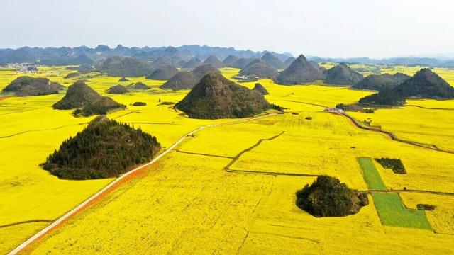 罗平康养旅居“出圈” 超高性价比获游客盛赞