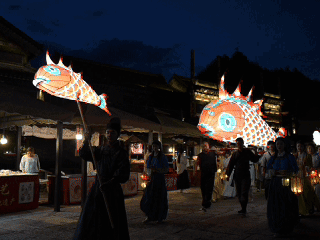 绝美！10万㎡秋日花海浪漫盛放，一起摇滚| 北京音乐地图