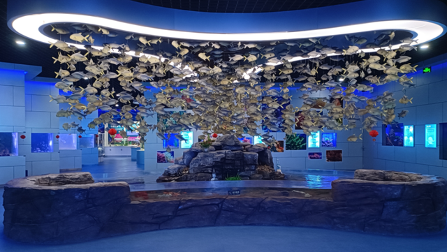 诗意之冬醉威海 | 暖汤沐心·冬享闲适之旅