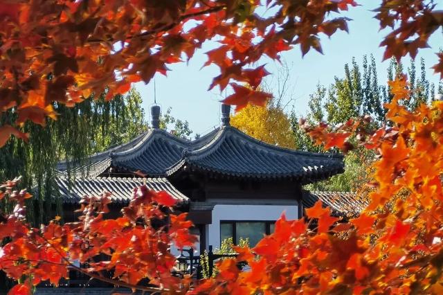 周末带娃赏秋，请收好这份市属公园彩叶地图