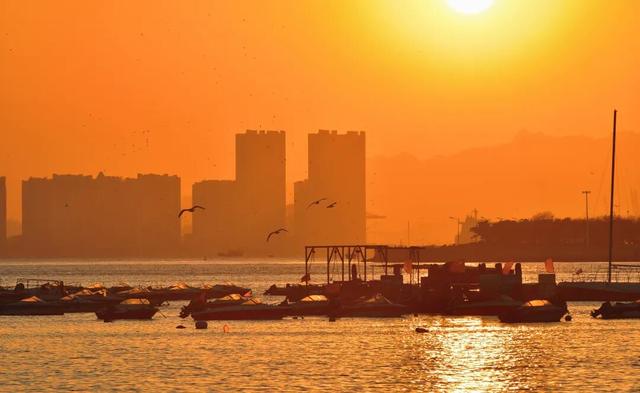 告别2025，来青岛做日落收藏家~