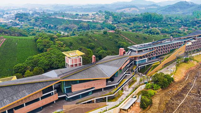 大湾区首个“茶旅疗愈”主题酒店！惠州裸心酒店启幕