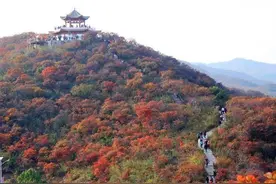 中站区：漫山红叶似火 “醉美龙翔”留客图片
