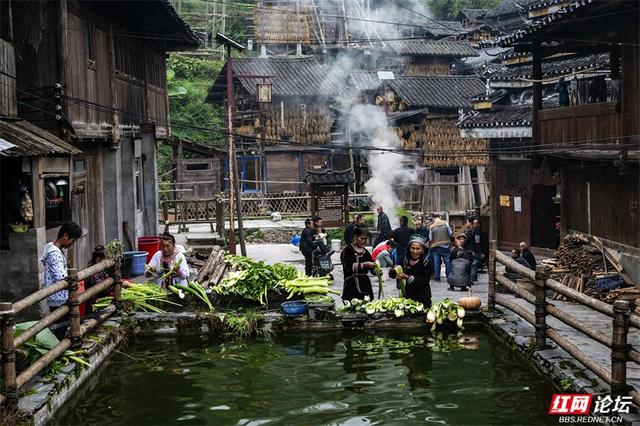 跟着网友游贵州丨黄岗侗寨：在深山邂逅世界级乡村魅力
