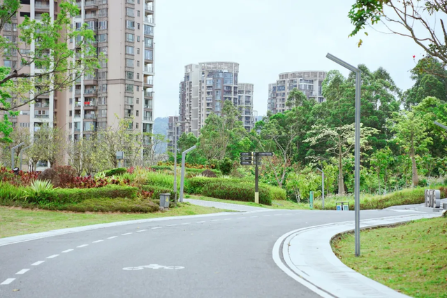龙华宝藏亲子徒步路线，一篇汇总→