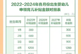 一图了解育儿补贴制度图片