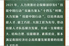 什么是“技能中国行动”“职业教育现场工程师专项培养计划”？图片