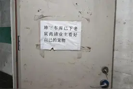 长春一小区投药应对流浪猫？律师：此举欠妥，应考虑家养宠物和幼童误食风险图片