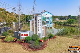 海子湖里青鱼跃图片