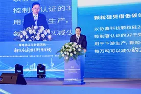 协鑫科技副总裁徐振宇：颗粒硅优势卓越 产业化大规模应用助力“双碳”目标实现图片