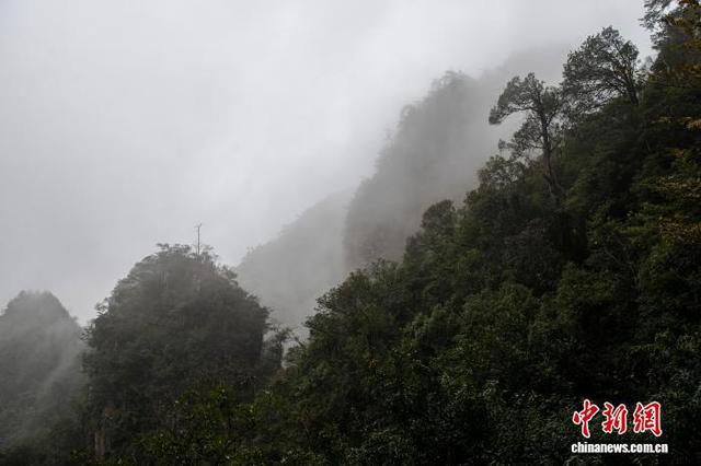 广西大瑶山盘王界景区云雾缭绕如水墨画