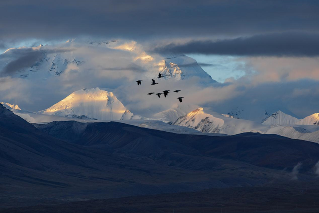 科考旅行｜秘境山南生态考察报名