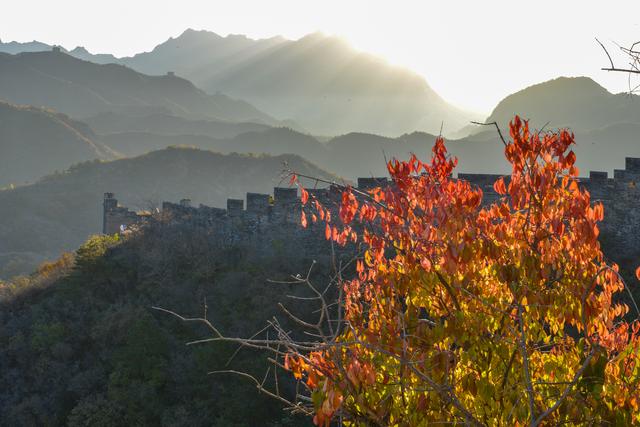 秋声渐杳 斑斓成诗#