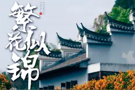 花开了！福州春日追花地图上线！图片