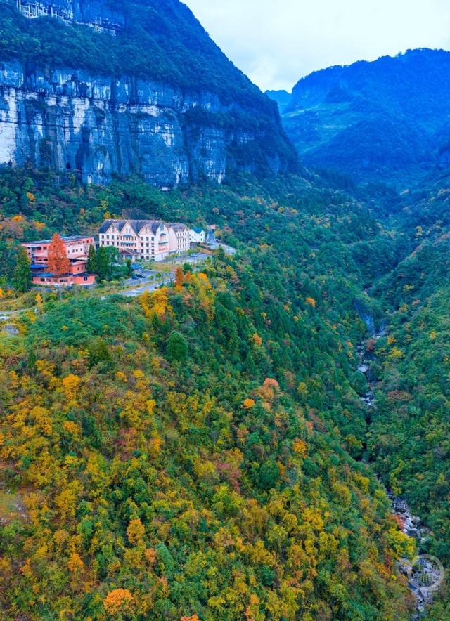 冬染金佛山 彩林美如画