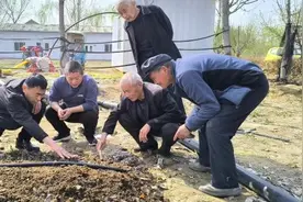 邹平市魏桥镇东刘村：蚯蚓养殖 开辟村集体增收致富新路径图片