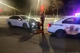 青岛故事｜鲁B2035警，你被表扬了!图片