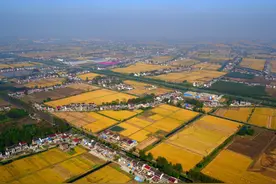 村里新来的年轻人⑫｜杨全能：承父志接力兴农梦图片