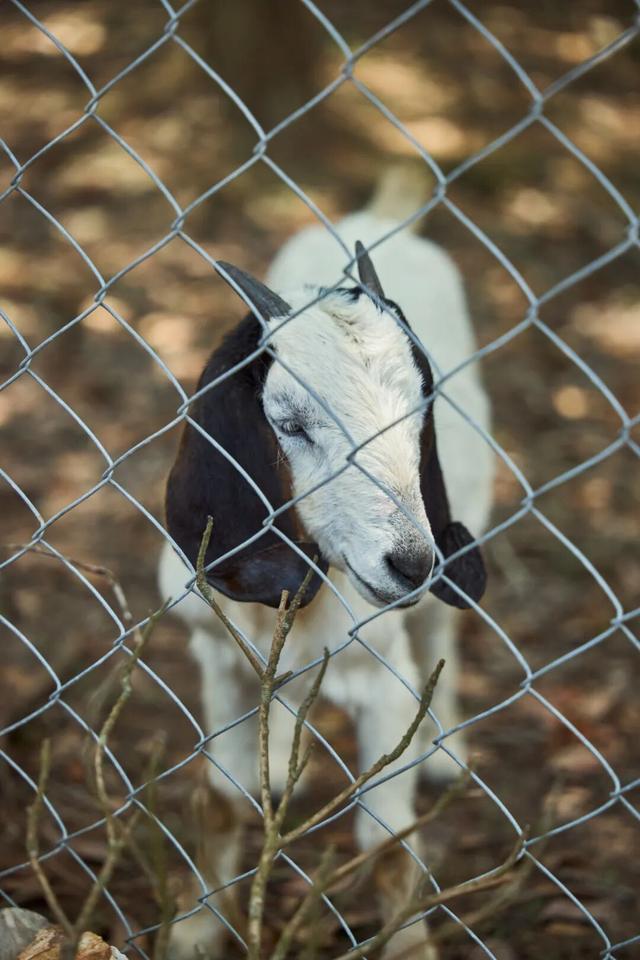 连休五天，浙L大部队已到……