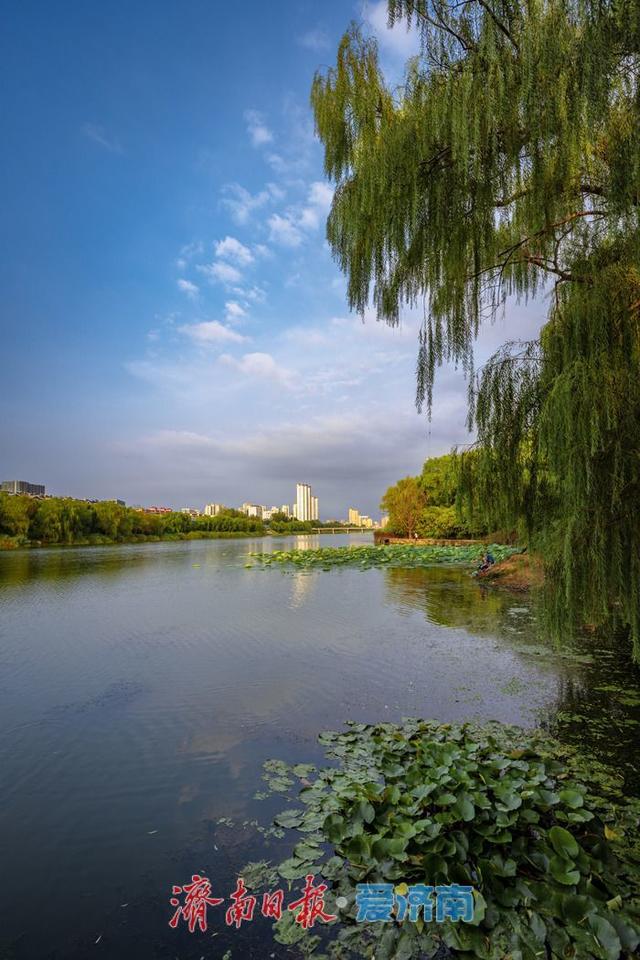 一年四季 泉在济南丨邂逅生态秘境！济南腊山湖公园藏着这样的绿意天地