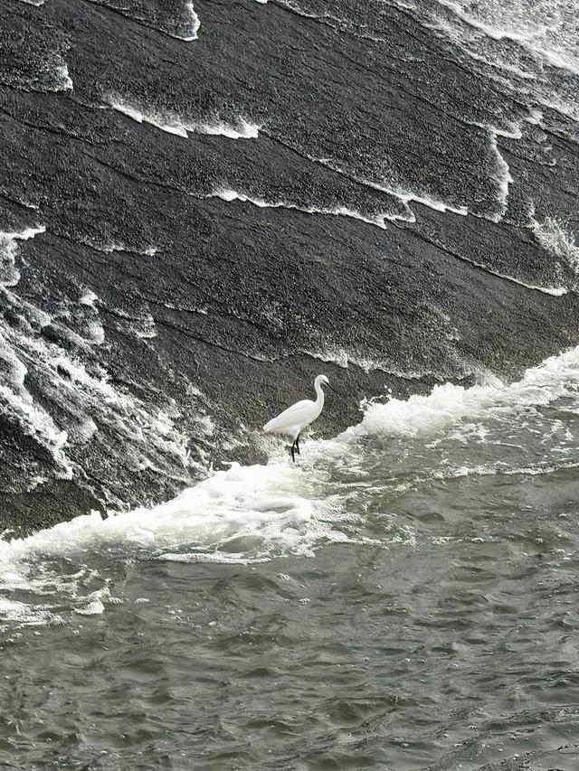 探访宝藏小城｜东平：一湖一佛一坝，绘就文旅“三原色”
