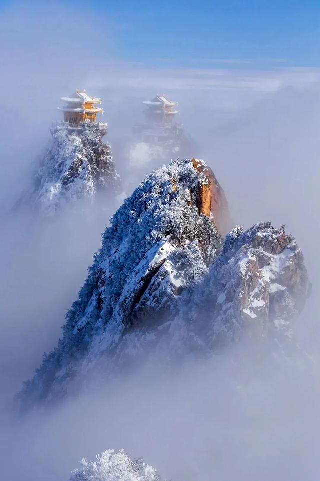 洛阳这些地方值得反复去，反复反复去... ...