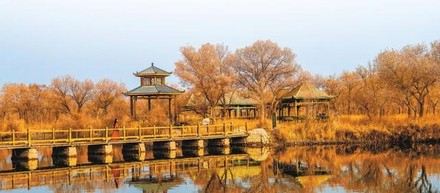 多元活动邀你打卡！喀什“双节”氛围感拉满