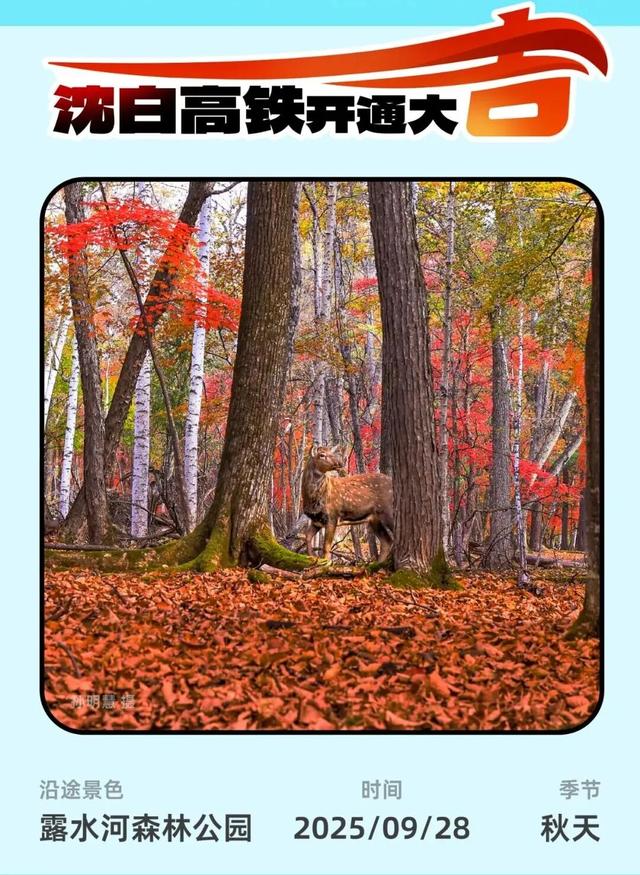 推荐！沈白高铁“白山秋味”最美朋友圈文案请收藏！