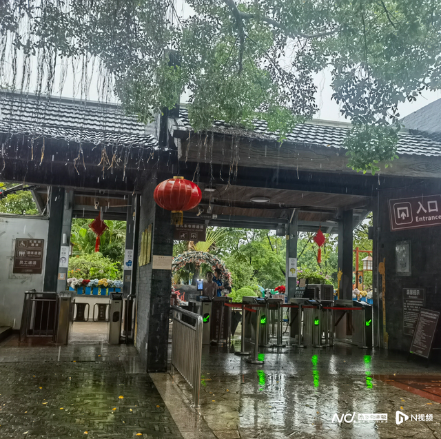 东莞香市动物园：舞台边汇聚“陈年”垃圾，应急措施待加强