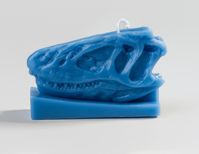 与恐龙共舞的午后：1月16日12点「看东方」直播开启自然博物馆的隐秘叙事！