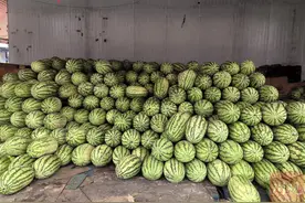 市场解码丨今年夏天，在四川可以实现“水果自由”吗？图片