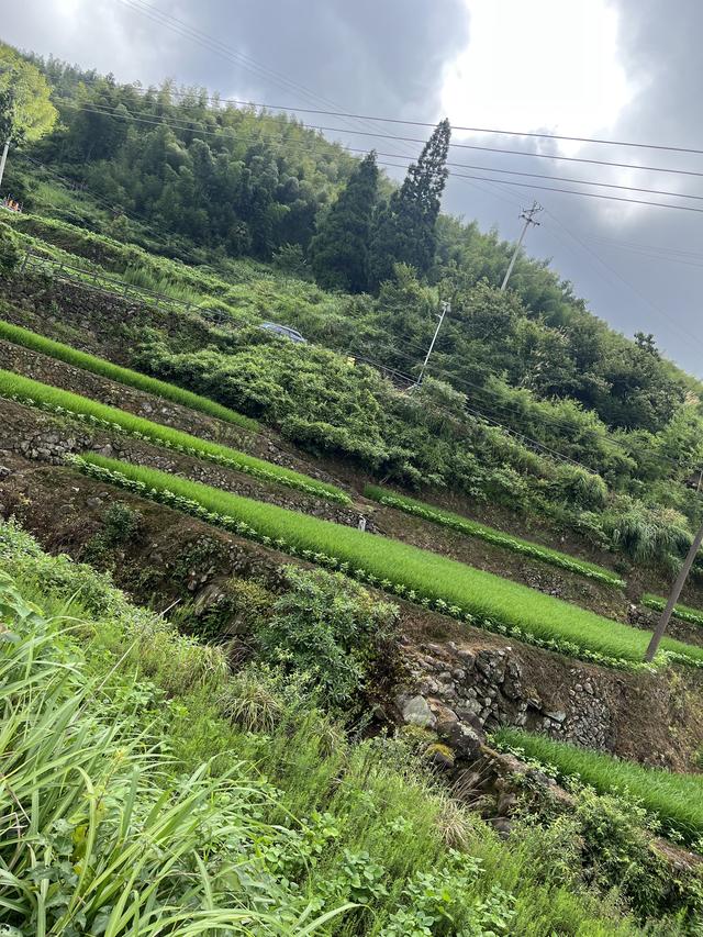 晚潮｜云深不知处